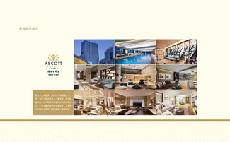 四川新視野酒店攜手艾迪塞斯設計 以專業(yè)管理賦能酒店行業(yè)新篇章